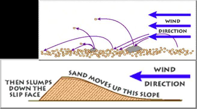 Çapraz tabakalanmanın (cross-bedding) kökeni Klastik tortul