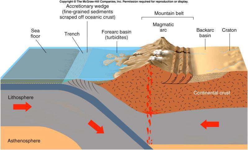 PLAKA TEKTONİĞİ VE SEDİMANTER KAYAÇLAR Sedimanter kayaçların dağılımında tektonik yerleşim önemli bir anahtar konumundadır.