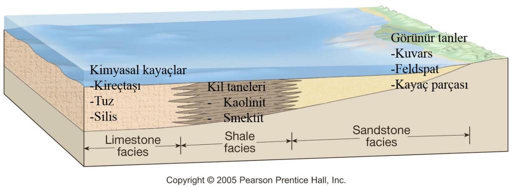 Şekil 13. Sedimanter fasiyes değişimlerinin genel görünümü Klastik kayaçları buzul, çöl, akarsu, göl, delta ve şelf ortamında birikebilir.