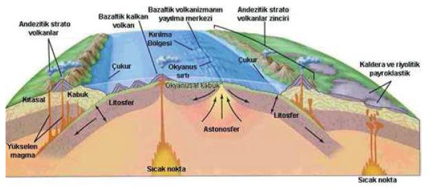 Magma bu yarıklardan dışarı çıkar ve soğur. Böylece levhalar birbirinden uzaklaşamaya devam eder.