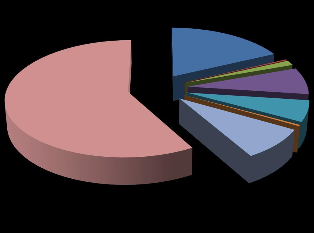 Makinelerle İlişkili İş Kazaları -Türkiye 58,3% 17,9% 0,3% 1,4% 7,5% 5,9% 0,3% 8,4%