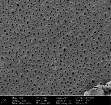 µm, M:1.00KX), d; enine kesit (10 µm, M:500X), e; kaplama kalınlığı (20