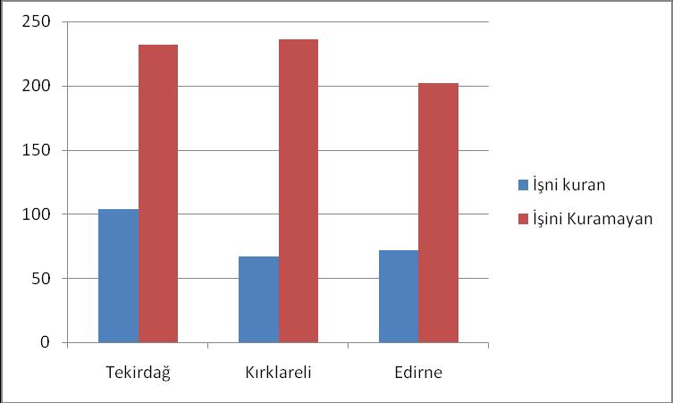53 ve %30 u da Edirne ilinde ikamet etmektedir. İşyerlerini açan ve anket yapılan toplam 243 kişinin, 104 ü Tekirdağ, 67 si Kırklareli ve 72 si Edirne ilinde işyerlerini açmışlardır.