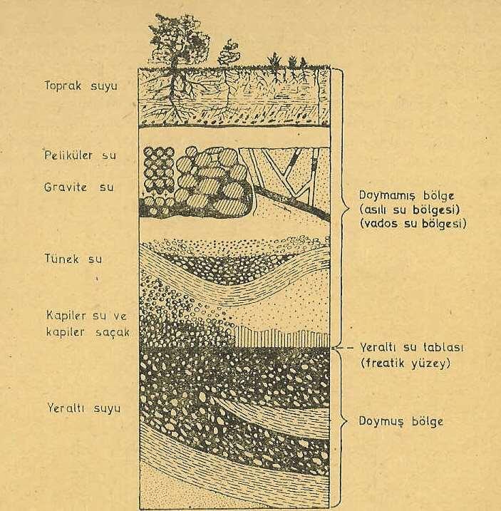 Yeraltı suyunun bulunuş şekilleri Toprak suyu Peliküler su Gravite suyu Tünek su Doymamış bölge (asılı su