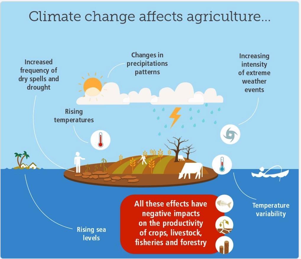 İklim değişikliğinin tarım