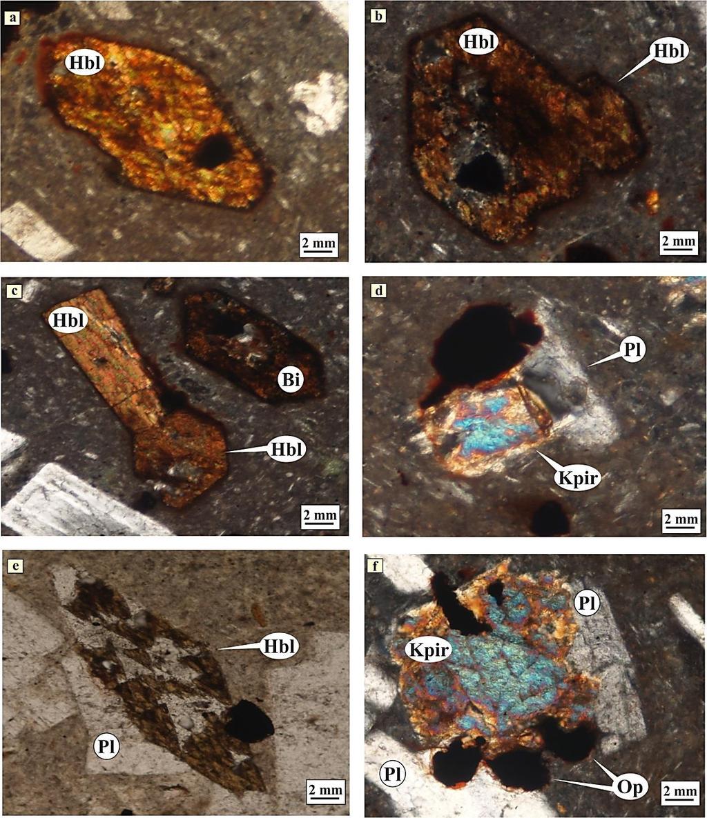 Şekil 7.10: Bozaniç volkanitlerine ait kayaçları oluşturan minerallerde gözlenen opaklaşma (a, b, c) ve birlikte büyüme dokuları (d, e, f) (a,b,c,d,f=ç.n.; e=t.n.); (a,b,c,d,e) Bazaltik andezit (Örnek No: E6.