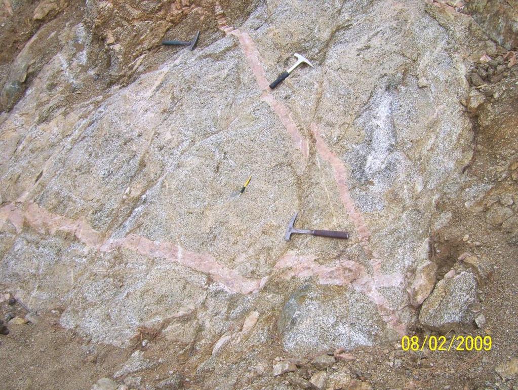 Şekil 3.4: Sarıcakaya granitoyidi ve içerisindeki pegmatit damarlarının Tozman Yaylası ndaki görünümü. En eski magmatik fazı, diyoritler oluşturur.