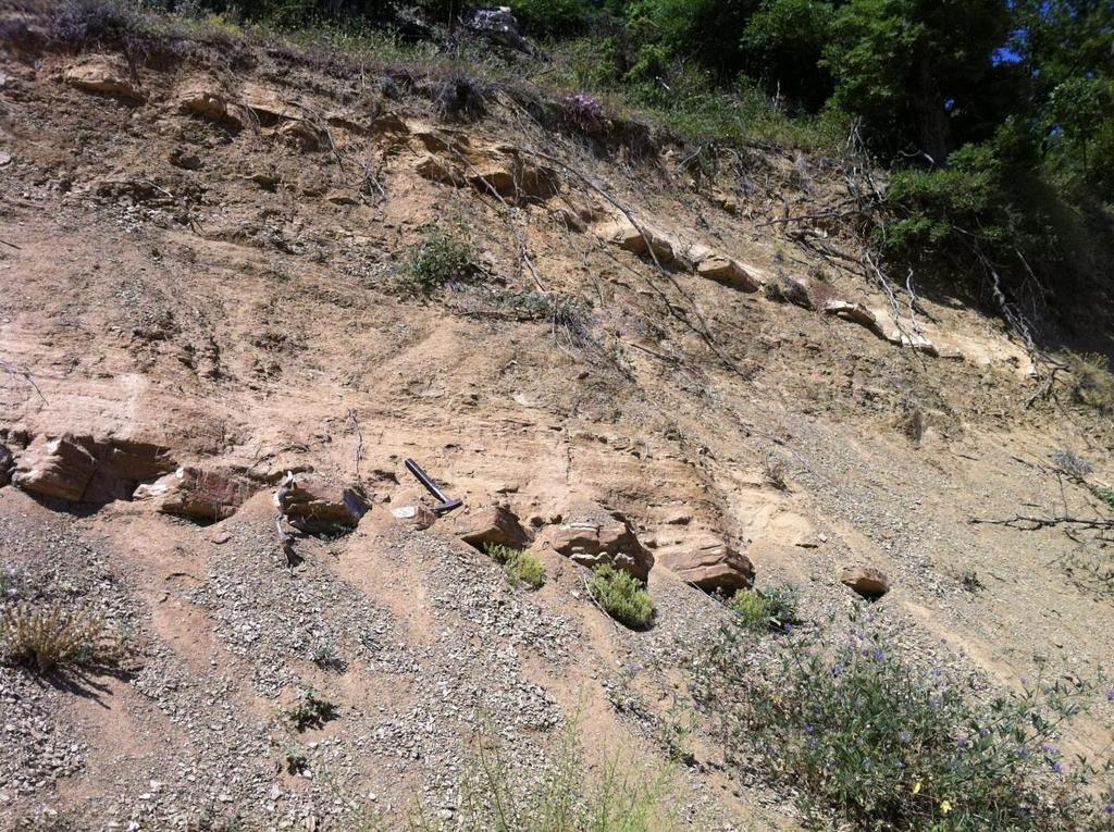 Şekil 3.6: Bayırköy Formasyonuna ait kumtaşı mostrasının görünümü (Beyyayla batısı). 3.3.4 Bilecik Kireçtaşı (JKb) İlk kez Granit ve Tintant (1960) tarafından adlandırılmıştır.