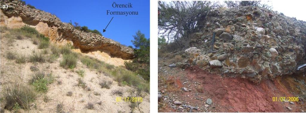 Formasyon içerisinde fosil saptanamamıştır. Bu çalışmada stratigrafik konumu göz önüne alınarak yaşı Pliyosen olarak kabul edilmiştir. Şekil 3.