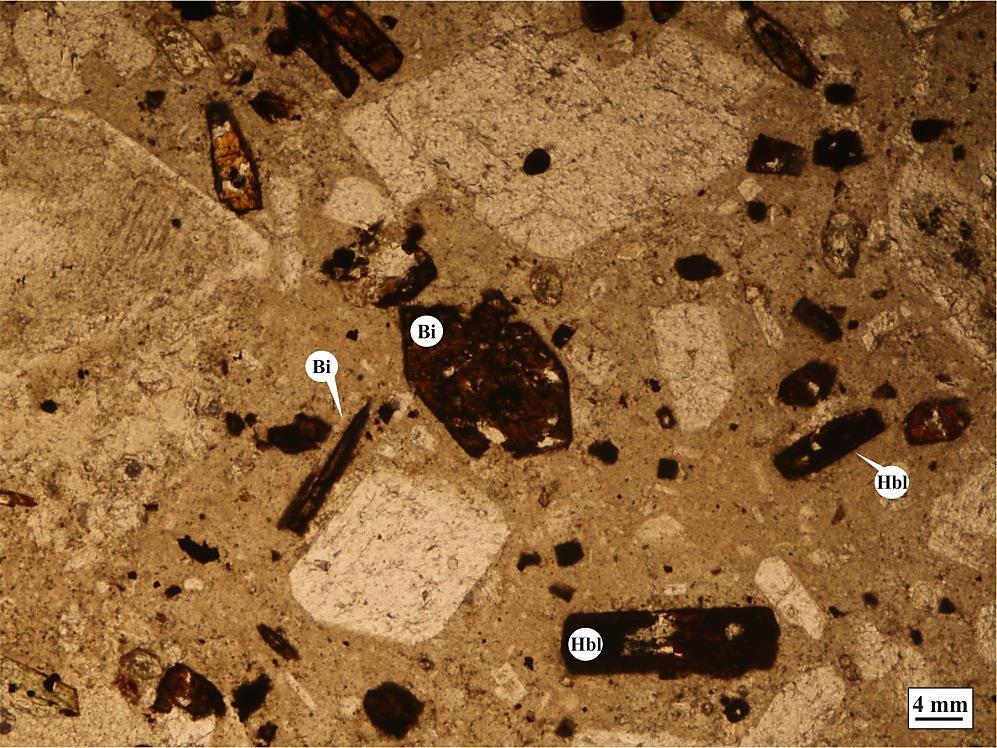 mineralinin görünümü (Örnek No: E1-B), (d) Andezitlerdeki propilitleşme sonucu kayacın yeşil renge dönüşmesi (Örnek No: B3-B) (a,b,c: Ç.N., d: T.N.; Ksd: Kalsedon, Ka: Kalsit, Pl: Plajiyoklaz).