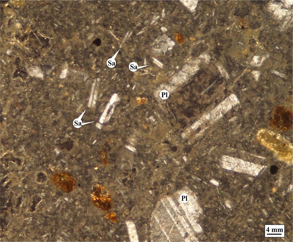 Şekil 3.22: Trakiandezit içindeki karlsbad ikizli sanidin kristallerinin hamur içerisindeki görünümleri (Örnek No: E4.3-B) (Ç.N.; Sa: Sanidin, Pl: Plajiyoklaz).