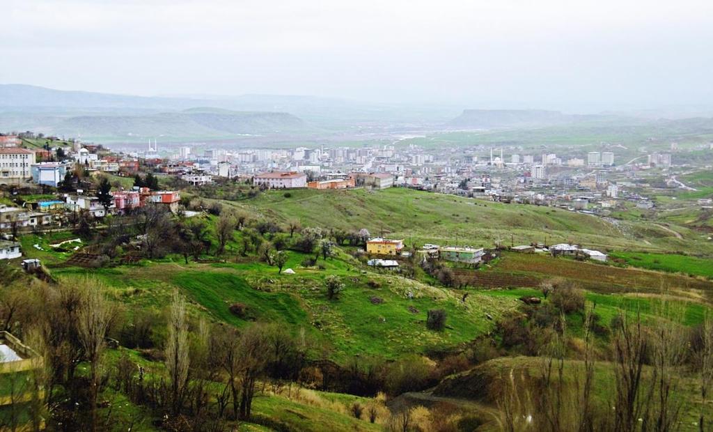 Foto 2. Yukarı ve orta Garzan havzaları arasında geçiş rölyefi üzerinde kurulmuş Kozluk yerleşmesi.