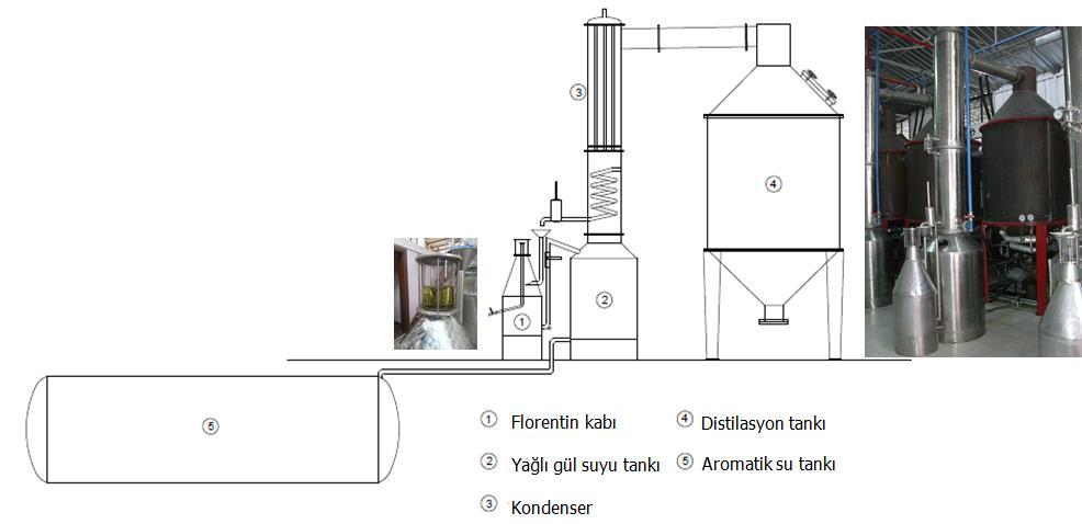 14 elde edilir. Köylü tipi gül yağı imbik adı verilen basit damıtma kazanlarında su distilasyonu yöntemi ile üretilir.