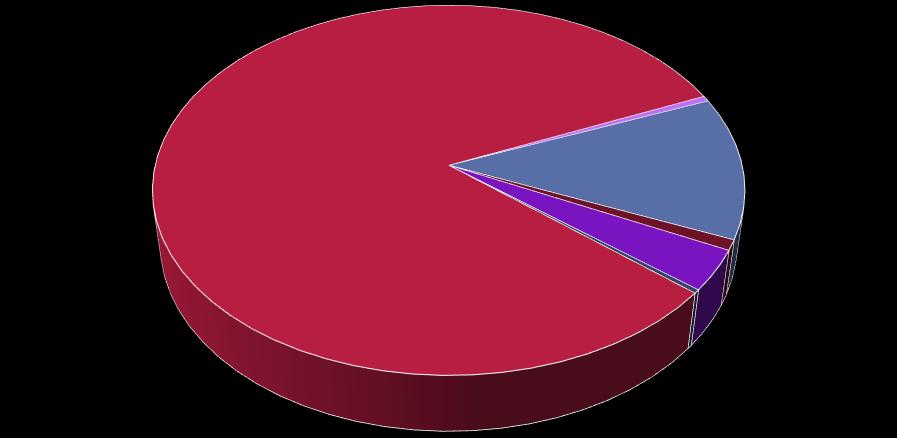 2014 Yılı Ajans KURUM. SINIF. FONK. SINIF. EKON. SINIF. GİDER KALEMİ GERÇEKLEŞME TUTARI (TL) PAY (%) 2 Güdümlü Proje Destekleri 2.045.