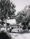 Pendik Çamçeşme, adını aldığı çeşmenin başındaki köylüler 1910 lar