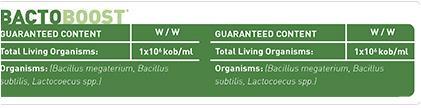 BOLWORM BACTOBOOST SIVI ORGANİK GÜBRE ÜRÜN ÖZELLİKLERİ BOLWORM BACTOBOOST, Doğal formdaki bacillus subtilis, bacillus megaterium ve lactococcus spp. İzolatlarını içeren mikrobiyal bir gübredir.