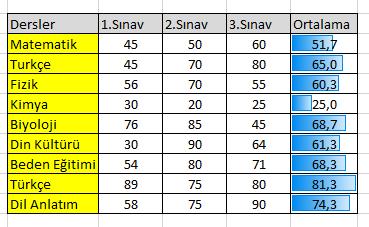 3- Veri Çubukları: Seçili hücrelerde