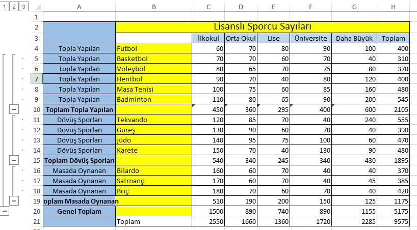 Ders-7 a) Ara Toplam alınacak veriler seçilir b) Veri