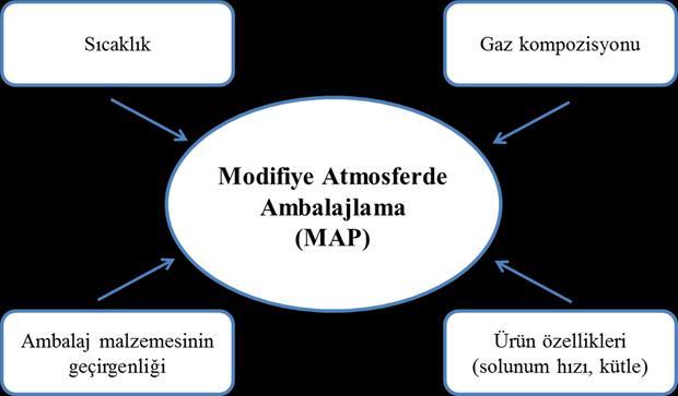 MAP uygulanmış ürünlerin düşük sıcaklıklarda (genellikle (-1)- (+7) o C) muhafaza edilmesi tavsiye edilir. Yüksek sıcaklıklara maruz kalan MAP ürünlerden istenildiği kadar iyi sonuçlar alınamaz.