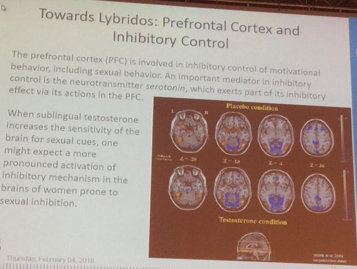 Lybridos: Prefrontal Korteks ve inhibitör kontrol Prefrontal korteks (PFC), cinsel ilişki de dahil motivasyonal davranışların inhibisyonu ile ilişklidir.
