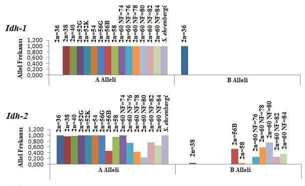 Şekil 4.20 Idh enziminde görülen allellerin kromozomal formlarda dağılımı 4.3.2 Malik enzim (E.C.1.1.1.40) Çalışmada anodal olarak göç eden Me-1 ve Me-2 olmak üzere iki izoenzim tespit edildi.
