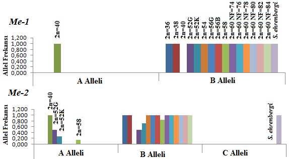 1) Bu enzim sisteminde çalışılan populasyonlarda farklı mobilitelerde dört allel tespit edildi.