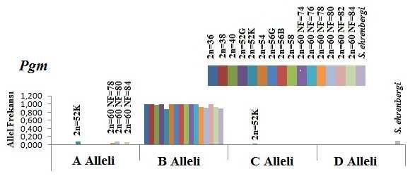 Çalışılan örneklerde bu lokusta hızlı mobiliteye sahip olan Ldh A ve yavaş mobiliteye sahip olan Ldh B allelleri tespit edildi.