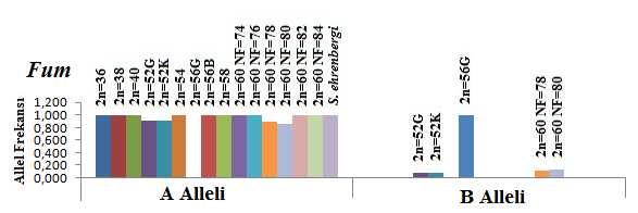 Bunlardan biri katoda doğru göç eden Gpi-1 ve diğeri anoda doğru göç eden Gpi-2 lokuslarıdır. Gpi-1 lokusu orjine oldukça yakın iki allel içerdiği belirlendi.