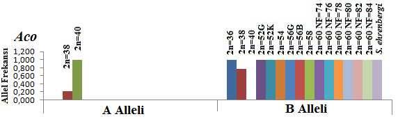 Şekil 4.44 Aco enziminde görülen allellerin kromozomal formlarda dağılımı 4.3.