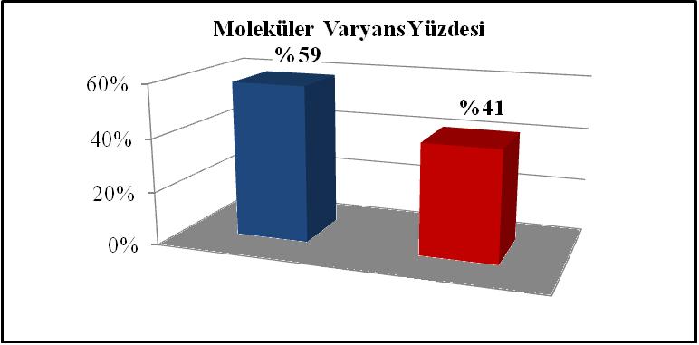 Kaynak df Kareler Toplamı Varyans Tahmini. % Populasyonlar Arası 14 1214,859 4,489 59 Populasyonlar İçi 272 861,928 3,169 41 Toplam 286 2076,787 7,658 100 Şekil 4.