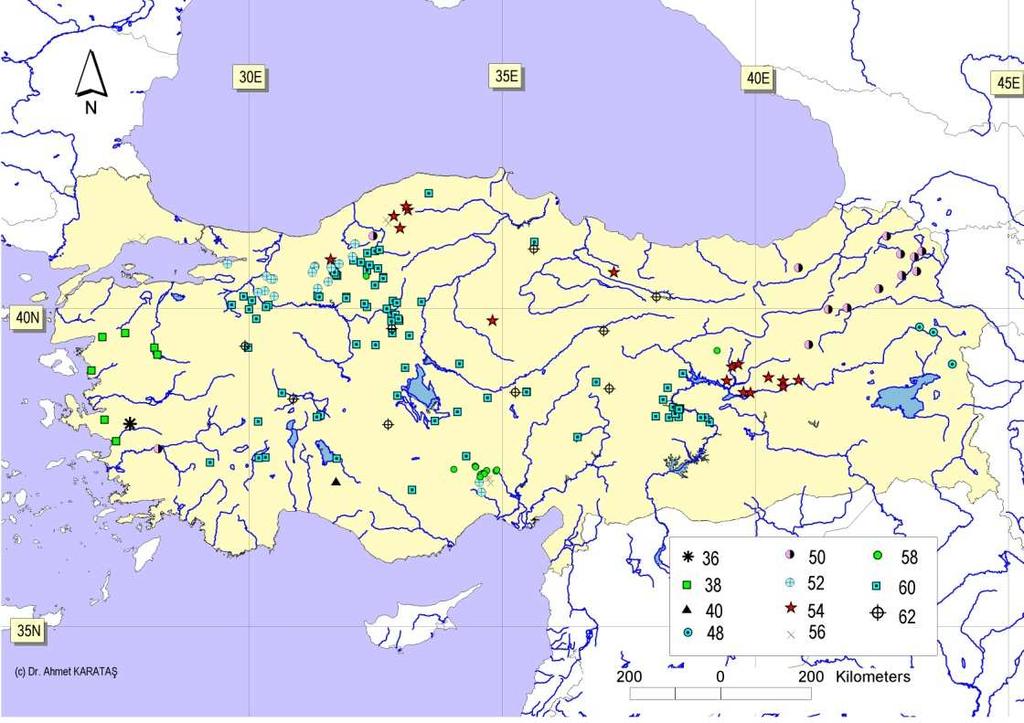 Şekil 1.1 Türkiye de Spalax cinsine ait kromozomal formların dağılışını gösteren harita. Türkiye nin S. leucodon örnekleri üzerine tek kromozom bantlama çalışması Ivanitskaya et al.