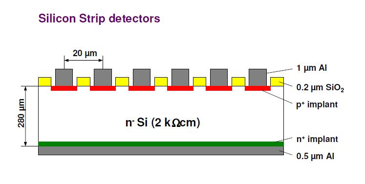 MİCRO-STRİP DETEKTOR N tipi Silikon üzerine p tipi mikro şeritler halinde p tipi Silikon 20 mm aralıklarla