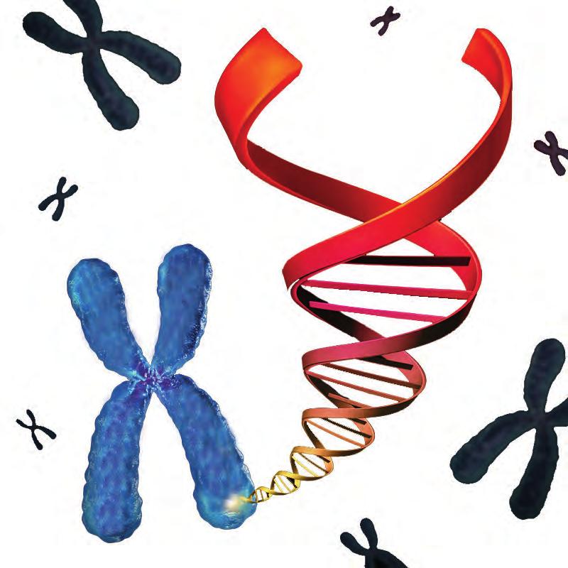 48 1. BÖLÜM Hücre Anahtar Kelimeler ve Kavramlar Hazırlık Çalışmaları 1. DNA, gen, kromozom kavramları hakkında duyduklarınızı sınıfta paylaşınız. 2.