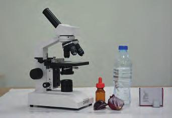 56 Hücreleri İnceleyelim Etkinlik Zamanı - 2 Araç - Gereçler Mikroskop Lam, lamel 1 adet kırmızı soğan Damlalık Su Ağız içi epitel doku örneği Bu etkinlikte verilen malzemeleri kullanarak laboratuvar