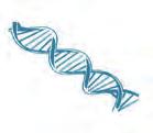Francis Crick (Frensis Kırik) DNA yapısı için