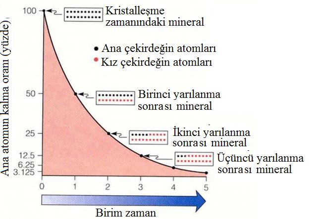 Radyoaktif Bozunum Verilen bir radyoaktif maddenin t zamanındaki çekirdek sayısı N(t); bunların birim zamandaki bozunum olasılığı λλ (