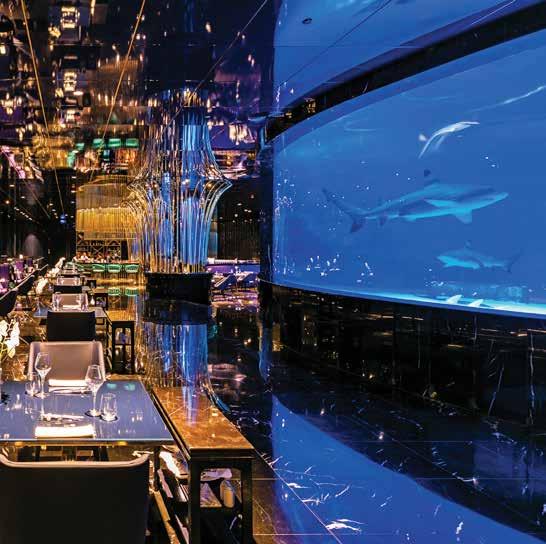 Nemo Restaurant & Lounge Spend an exhilarating night at Turkey s biggest underwater Aquarium Restaurant with loved ones as we count down together into a wonderful new year.