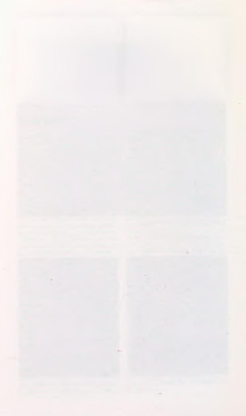 *Havuzlu Kahve 1989 67x76 cm. Tuval üzerine yağlıboya.