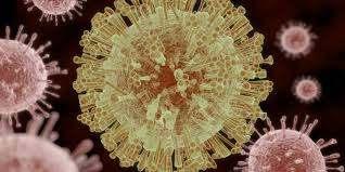 Zika virüs Etyoloji Flaviviridae ailesinin Flavivirus cinsinden Zarflı PoziAf