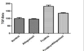 NF-κB TGF-β TNF-α IL-6 SMAD-3 IL-6, NF-κB, TGF-β, TNF-α, fruktoz verilen grupta kontrol