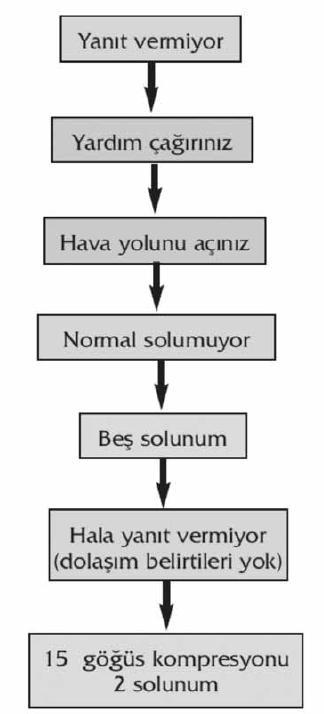 Pediatrik Temel Yaşam Desteği