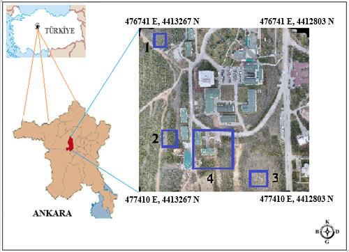 476741 E, 4412803 N (Güney batı), 477410 E, 4413267 N (Kuzey doğu) ve 477410 E, 4412803 N (Güney doğu) dir. (WGS84 UTM - Zone; 36N) Şekil 1.