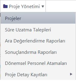 İş Potansiyeli: Projenizin iş potansiyeli bilgileri 13. Hedef: Projenizin hedefleri 14. Üniversite: Proje kapmasında üniversitelerle yapılacak işbirlikleri 15.