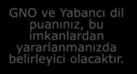 Yabancı dil puanınız, bu imkanlardan