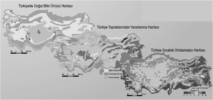 Kullanım Amaçlarına Göre Haritalar Özel Haritalar (Tematik haritalar) Bu haritalar, genel haritalar gibi bir bölge ya da ülkeyi hatta dünya genelini içine almasına rağmen içerik olarak herhangi bir