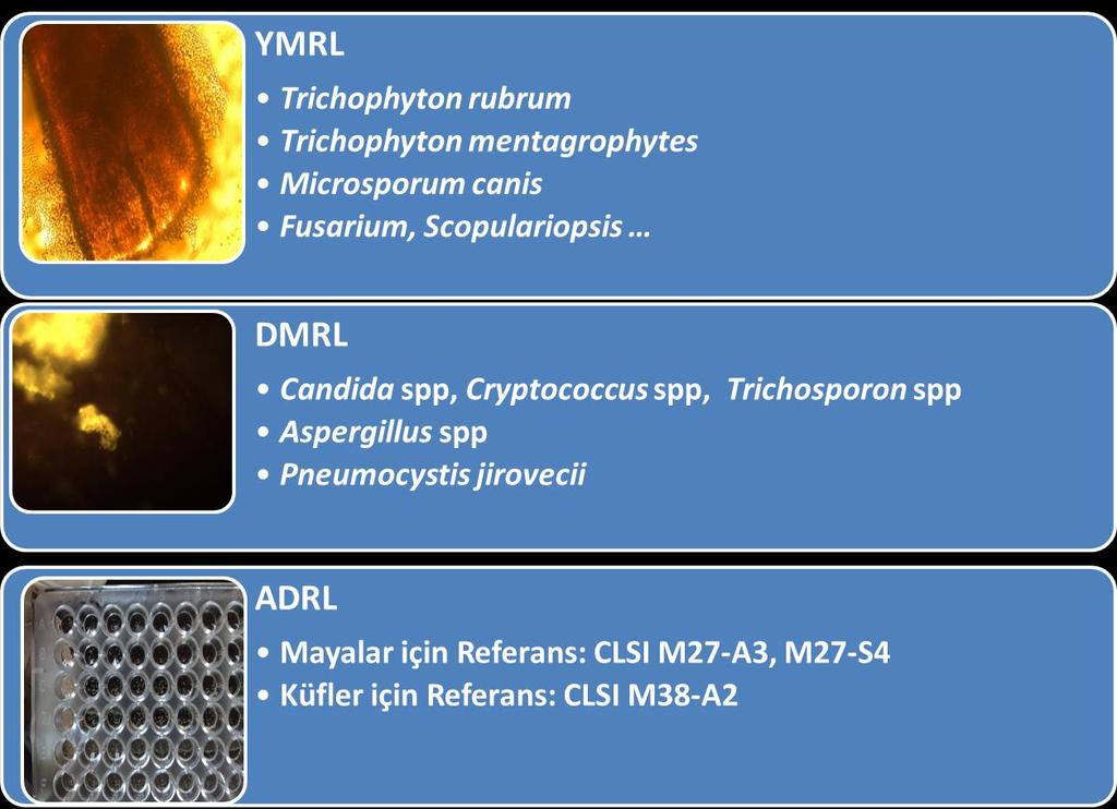 MRL Referans Yöntemlerle Akredite Olunan