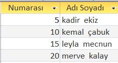 select ogr_no as [Öğrenci Numarası], ogr_ad as [Öğrenci Adı],ogr_soyad as [Öğrenci Soyad] from tbl_ogrenciler Örnek : tbl_ogrenciler