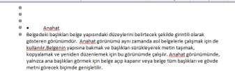 Anahat Belgedeki başlıkları belge yapısındaki düzeylerini belirtecek şekilde girintili olarak gösteren görünümdür. Anahat görünümü aynı zamanda asıl belgelerle çalışmak için de kullanılır.