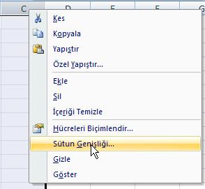 sürüklememiz gerekir. Bu şekilde satırları istediğimiz kadar genişletebiliriz.