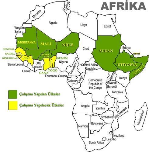 AFRİKA ÇALIŞMALARI ÇALIŞMA YAPILAN ÜLKELER SUDAN ETİYOPYA CİBUTİ NİJER BURKİNA FASO SOMALİ SOMALİLAND MALİ